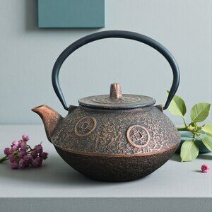 Japanese Cast Iron Teapot